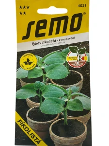 Tykev k roubování - fíkolistá (SM CF 106) 15s série "Roubuj s námi"