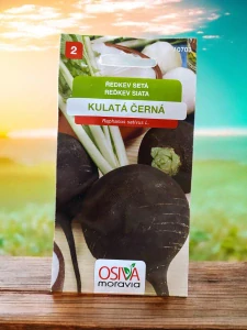 Ředkev KULATÁ ČERNÁ_2,5 g