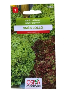 Salát listový směs Lollo_0,5 g
